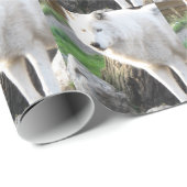 ウルフ写真芸術精神ガイド動物の愛 ラッピングペーパー (ロールコーナー)