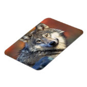 ウルフ写真 マグネット (左側)