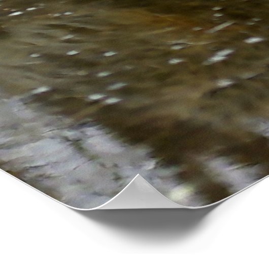 ウルフ反射 ポスター (角)