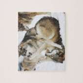 ウルフ怒パズル ジグソーパズル (縦)