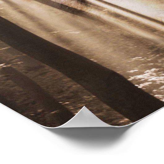 ウルフ顔の森 ポスター (角)