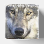 ウルフ顔クローズアップ フェイバーボックス (上部)