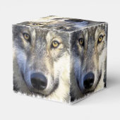 ウルフ顔クローズアップ フェイバーボックス (裏面サイド)