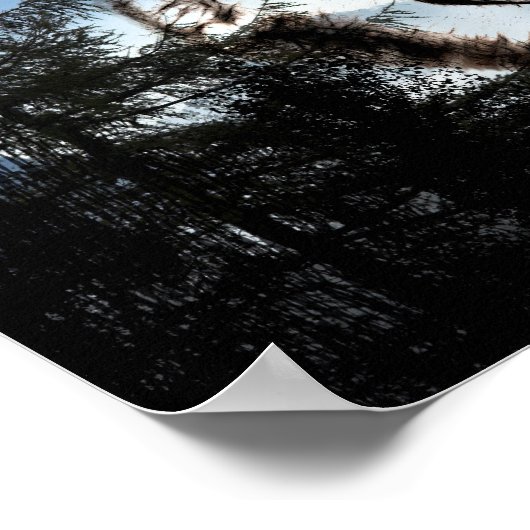 ウルフ顔 ポスター (角)