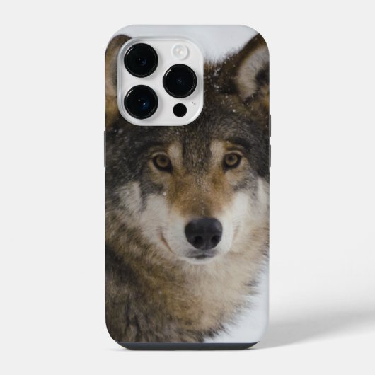 ウルフ顔iPhone / iPadケース iPhoneケース (裏面)