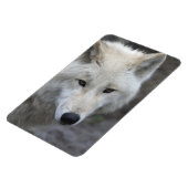 ウルフ001 マグネット (左側)