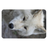 ウルフ001 マグネット (横)