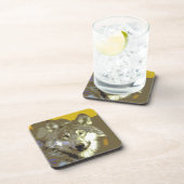 ウルフ044 コースター (右側)