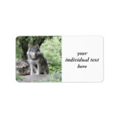 ウルフ14AJ ラベル (正面)