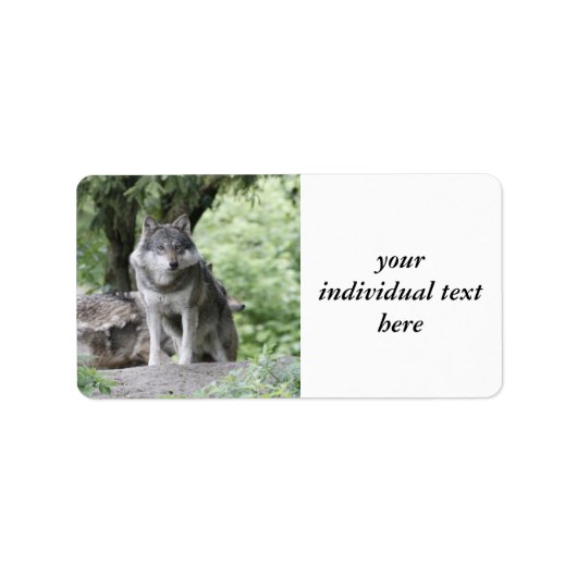 ウルフ14AJ ラベル (正面)