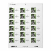 ウルフ14AJ ラベル (フルシート)