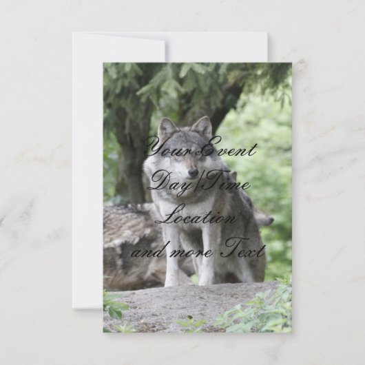 ウルフ14AJ 招待状 (正面)