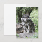 ウルフ14AJ 招待状 (正面/裏面)