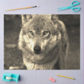 ウルフ215 薄葉紙 (クラフト)