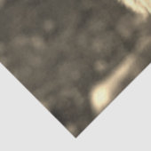 ウルフ215 薄葉紙 (詳細)