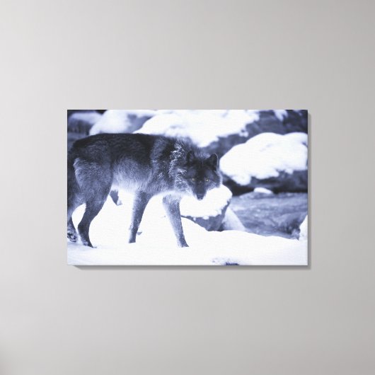 ウルフ2 キャンバスプリント (正面)