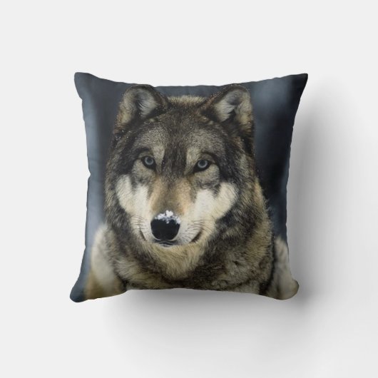 ウルフ クッション (裏面)