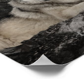 ウルフ・クリーク・ブルック森林景観 ポスター (角)