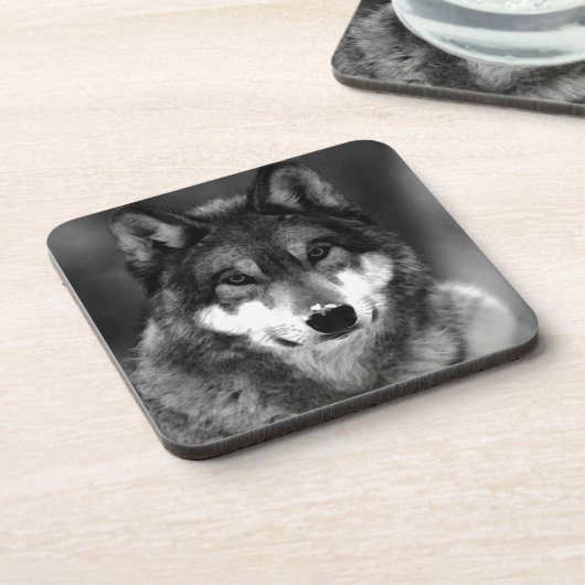 ウルフ コースター (左側)