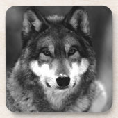 ウルフ コースター (正面)