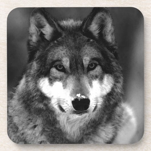 ウルフ コースター (正面)