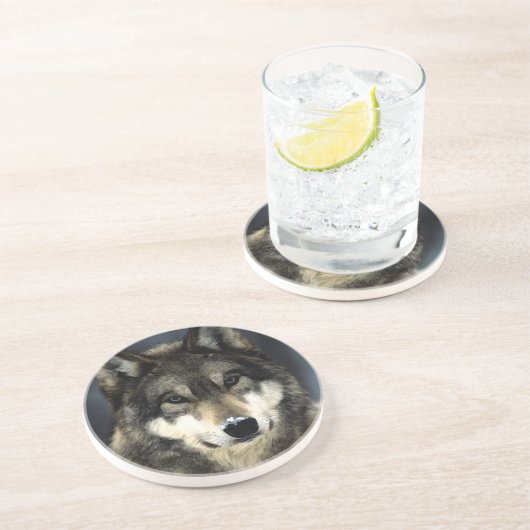 ウルフ コースター (側面)