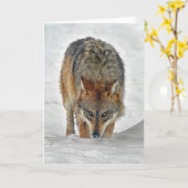 ウルフ・ストーカー カード (黄色い花)