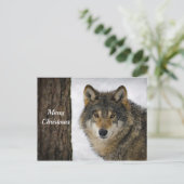 ウルフ・スノー・ツリーの写真クリスマス ポストカード (スタンド正面)