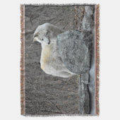 ウルフ スローブランケット (正面縦)