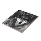 ウルフ タイル (側面)