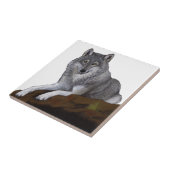 ウルフ タイル (側面)