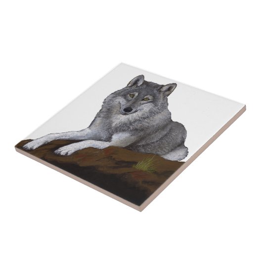 ウルフ タイル (側面)