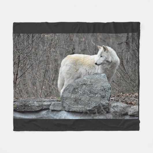 ウルフ フリースブランケット (正面(横))