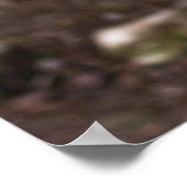 ウルフ ポスター (角)