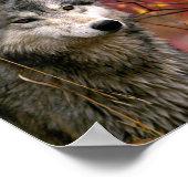 ウルフ ポスター (角)