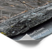 ウルフ ポスター (角)