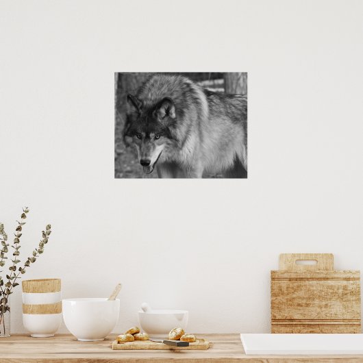 ウルフ ポスター (キッチン)