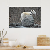 ウルフ ポスター (キッチン)