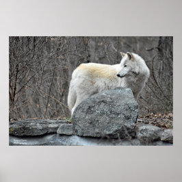 ウルフ ポスター