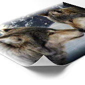 ウルフ ポスター (角)