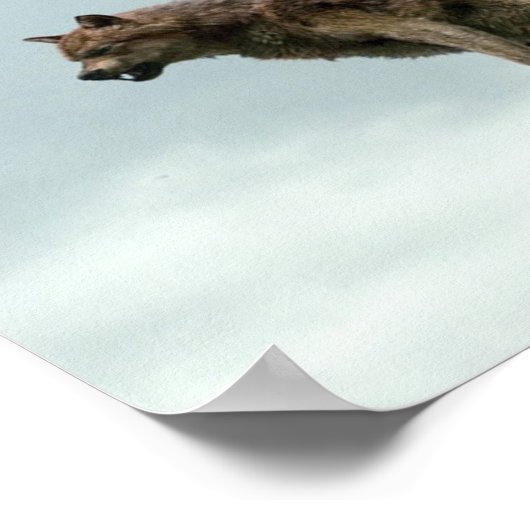 ウルフ ポスター (角)