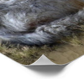 ウルフ ポスター (角)