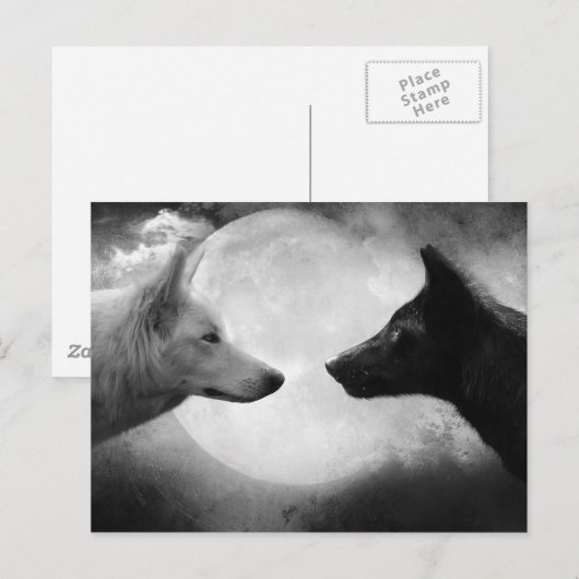 ウルフ ポストカード (正面/裏面)