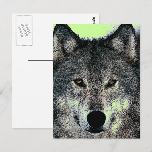 ウルフ ポストカード (正面/裏面)