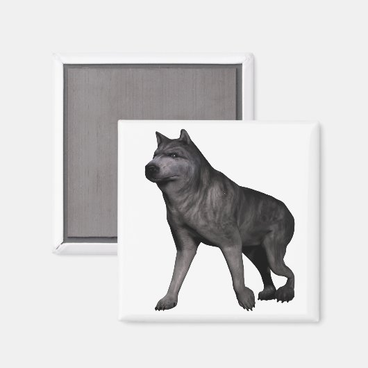 ウルフ マグネット (正面/裏面)