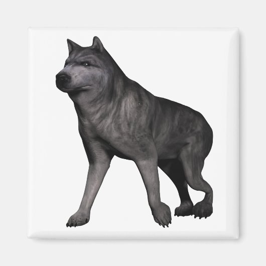 ウルフ マグネット (正面)