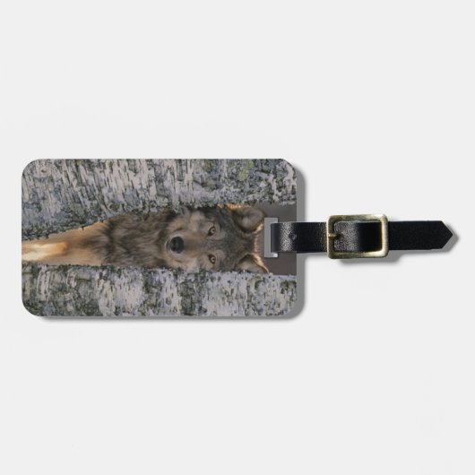 ウルフ ラゲッジタグ (正面横)