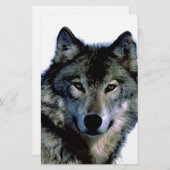 ウルフ 便箋 (正面/裏面)