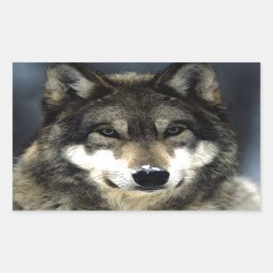 ウルフ 長方形シール