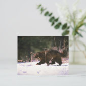 ウルベリンランニングの雪の中 ポストカード (スタンド正面)